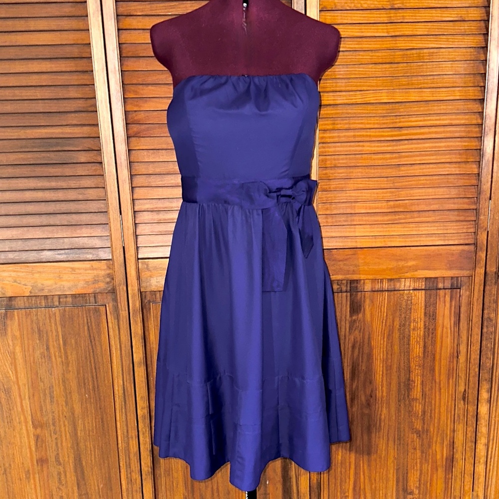 The Limited Formal Strapless Dress Purple Party Cocktail Bridesmaid Prom SZ 10